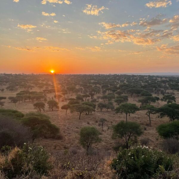 6 Days Migration Northern Serengeti