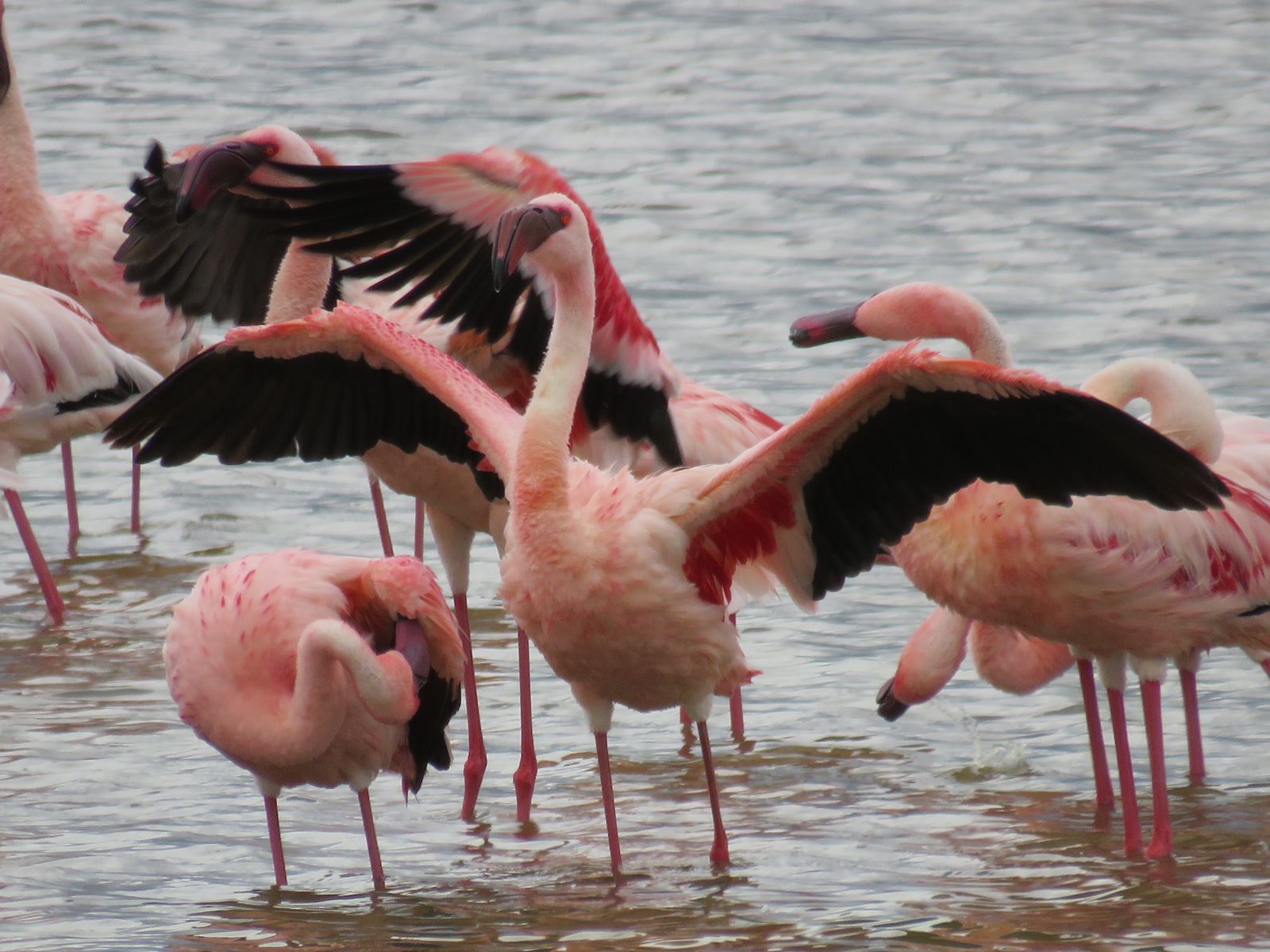4 Days Mid-range Lodge Safari Tarangire, Ngorongoro Crater and Lake Manyara