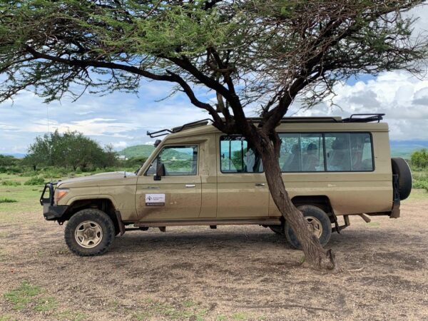 6 Days Migration Safari in Ndutu